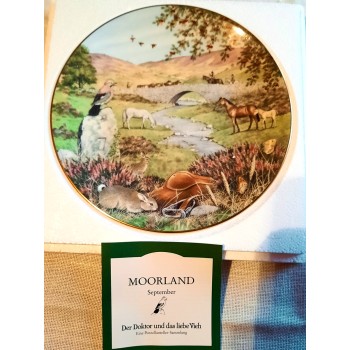 Moorland