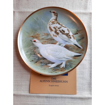 Alpenschneehuhn