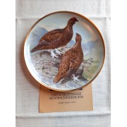 Moorschneehuhn