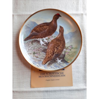 Moorschneehuhn