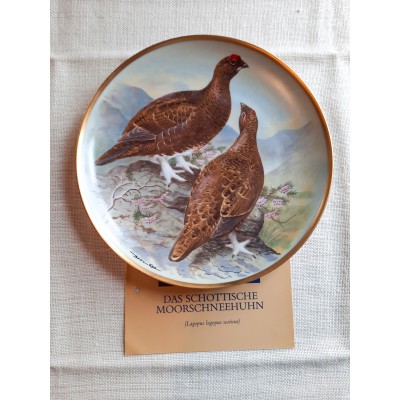 Moorschneehuhn