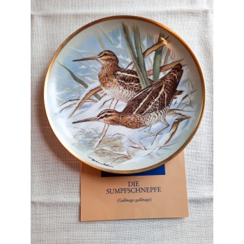 Sumpfschnepfe