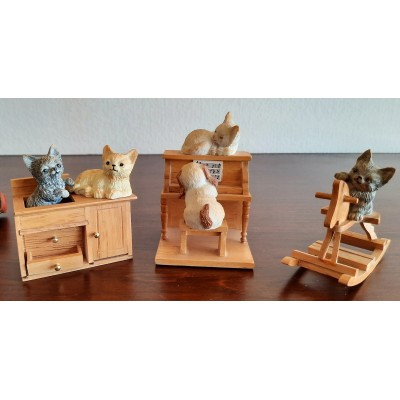 Diverse Katzen