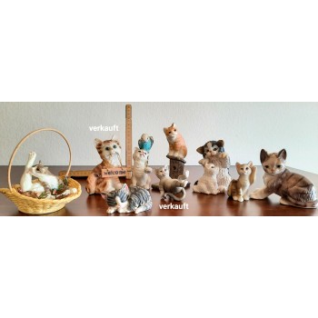 Lustige Katzen