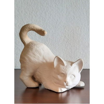 Katze kauernd