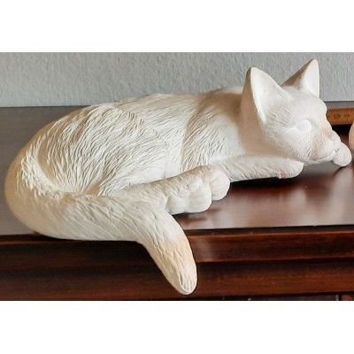 Katze liegend