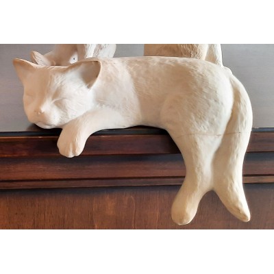Katze schlafend