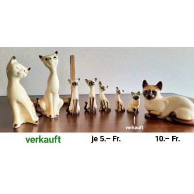 Siamkatzen