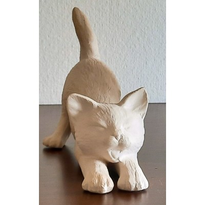 Katze streckt sich